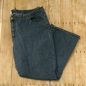 Bobbi Brooks Jeans Denim Blue Plus Size